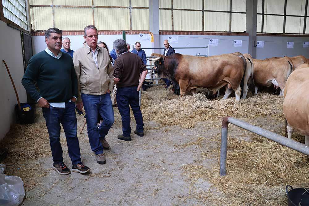 aseamo-subasta-cangas-04