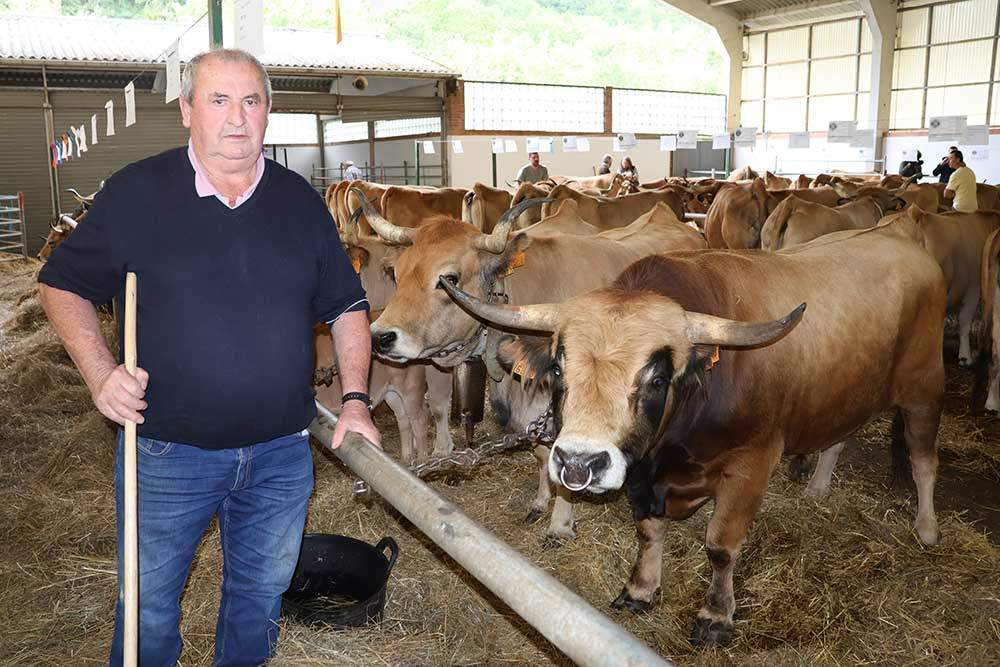 aseamo-subasta-cangas-03