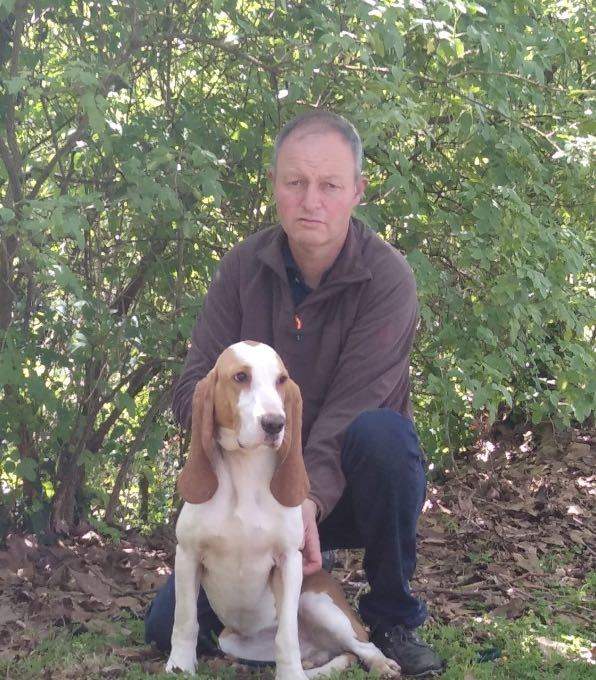 ruben-rubio-sabueso-espanol