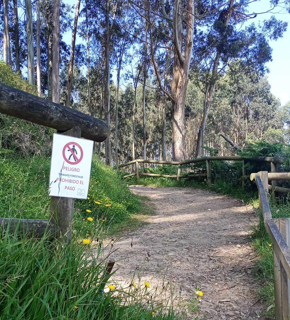 colunga-ruta-huellas-dinosaurio-01