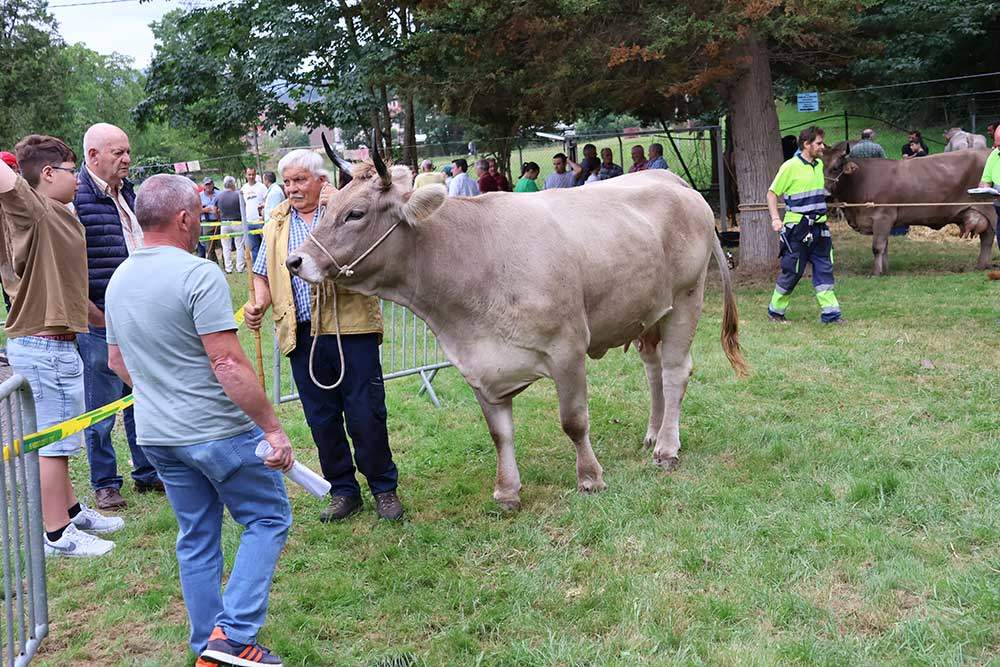 concurso-ganados-arriondas-2024-02