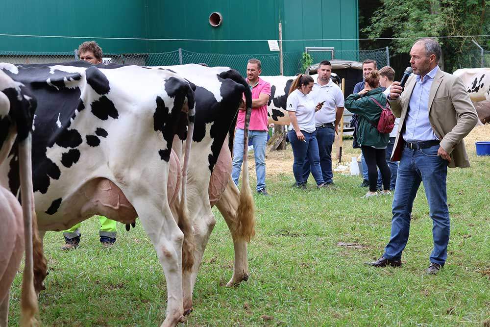 concurso-ganados-arriondas-2024-07