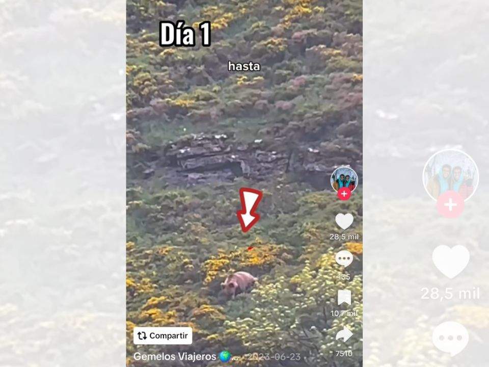 Captura del vídeo de @GemelosViajeros