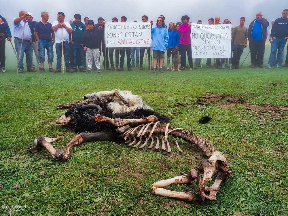 MANIFESTACIoN-GANADEROS_ESPINERES-2024