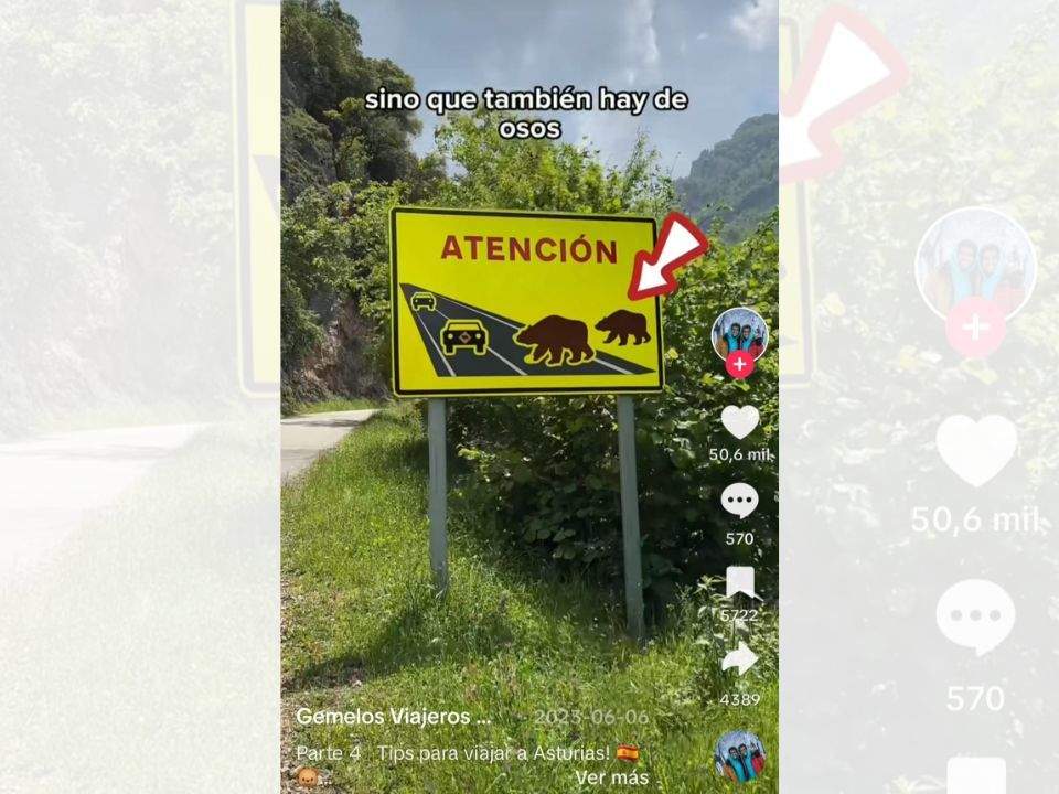 Captura del vídeo @gemelosviajeros