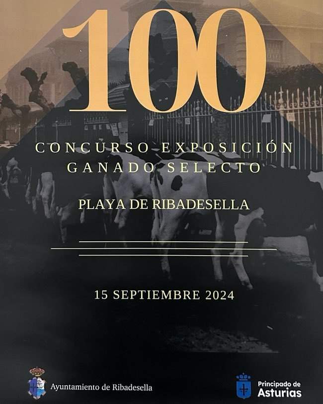 100-concurso-exposicion-ganado-selecto-ribadesella