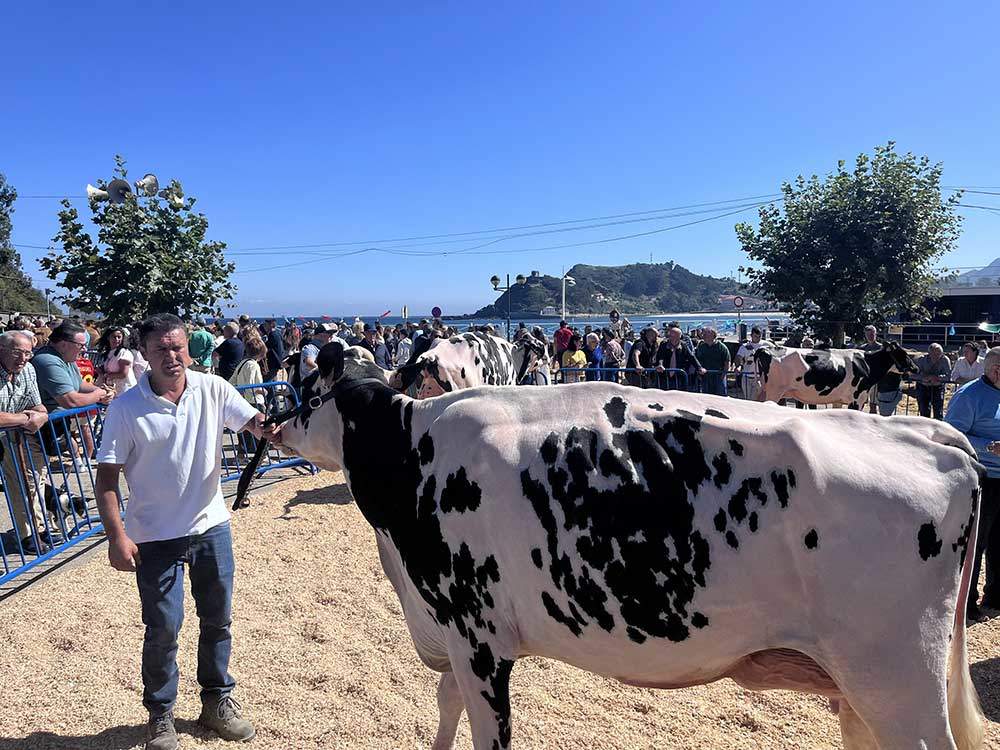 concurso-ganado-playa-ribadesella-2024-01