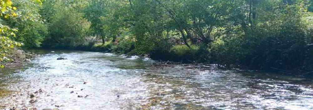 limpieza-rio-casano-cabrales-01