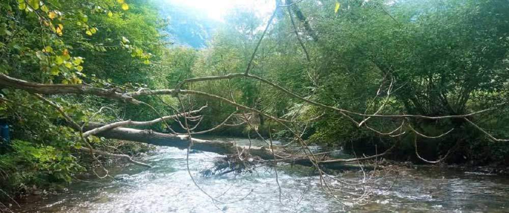 limpieza-rio-casano-cabrales-03