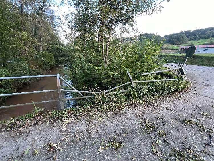 danos-barandilla-puente-celorio