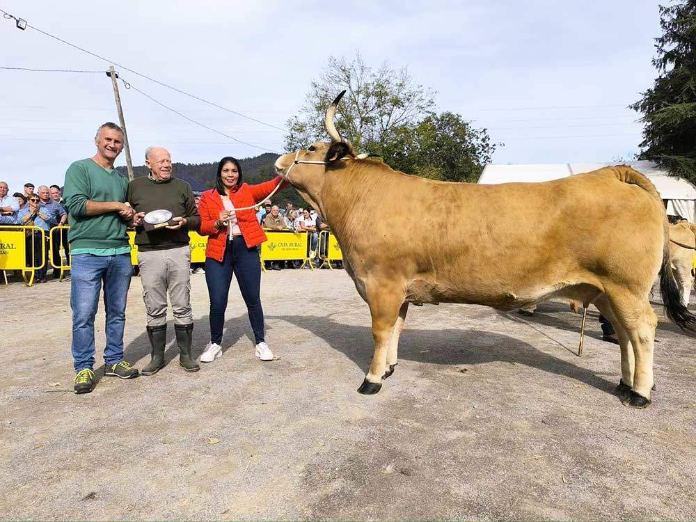 concurso-santa-teresa-infiesto-02