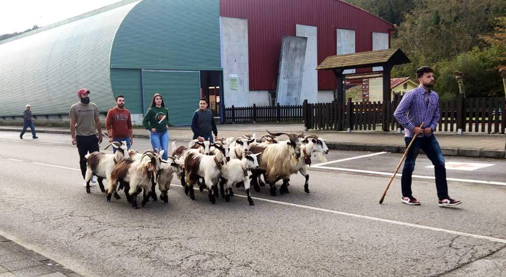 feria-concurso-benia-onis-04