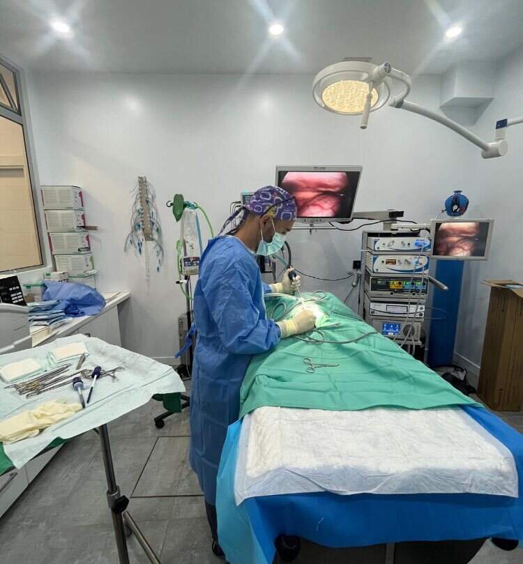 cirugia-laparoscopia-clinica-bulnes