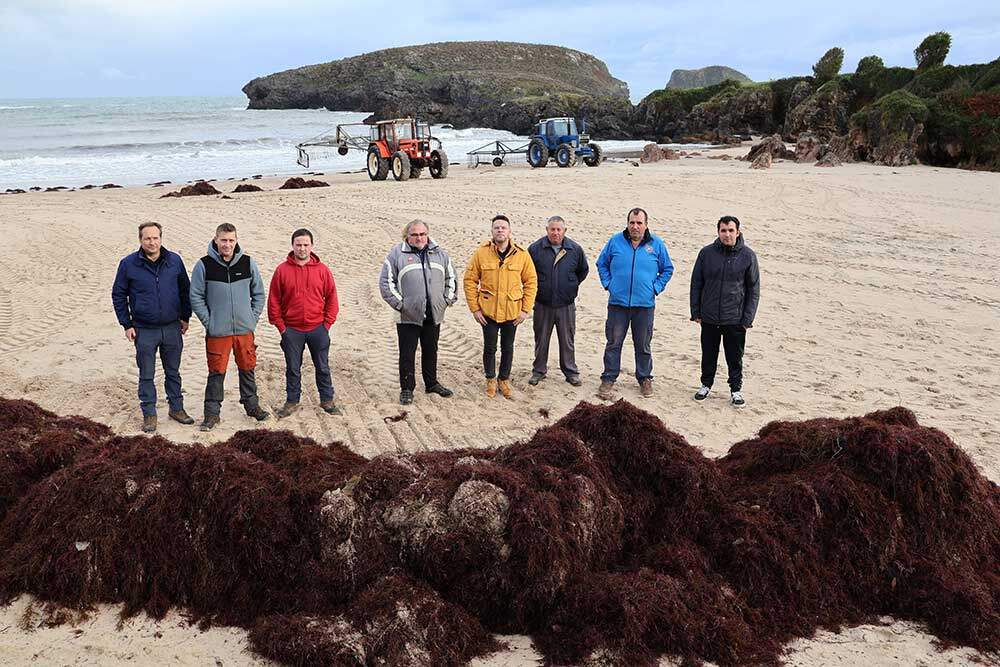 recolectores-ocle-llanes