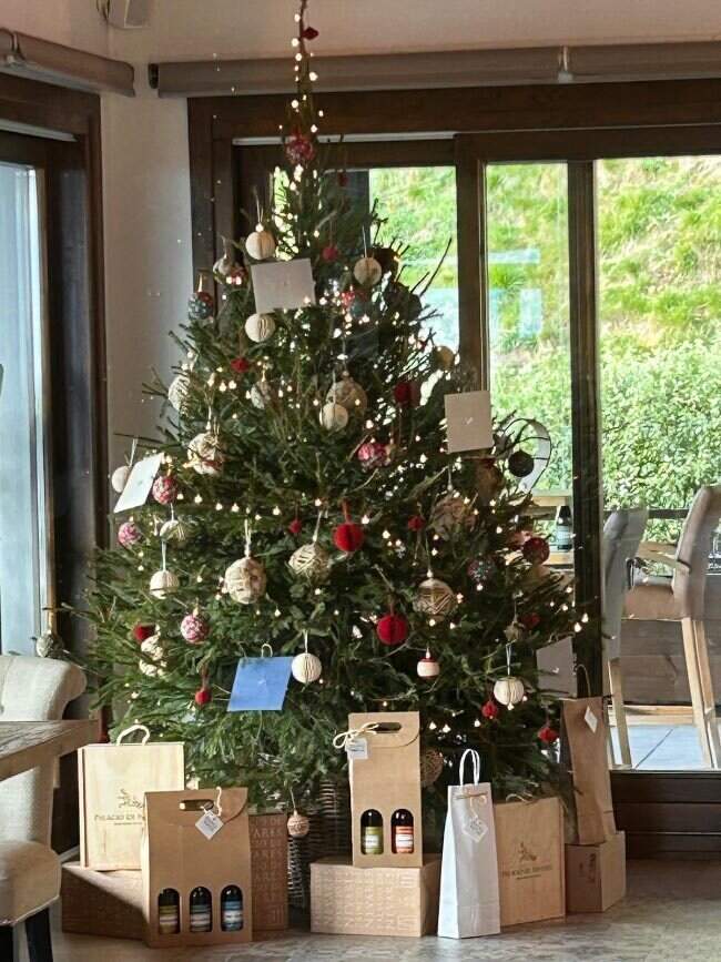 palacio-nevares-puebloastur