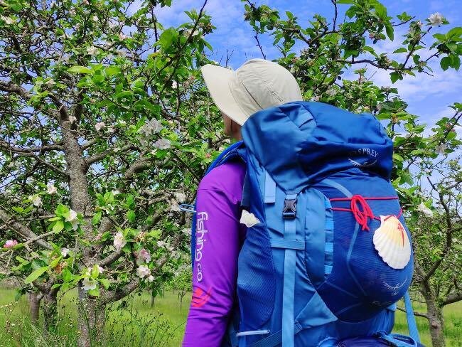 floracion-manzano-comarca-sidra-2