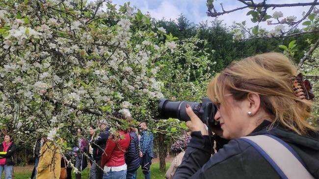 floriar-pumar-comarca-sidra