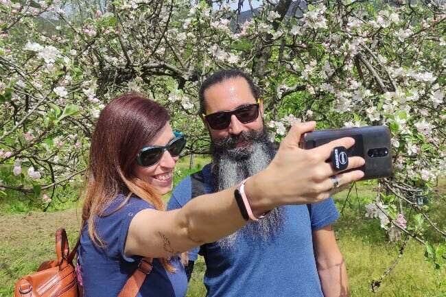 ruta-floracion-manzano