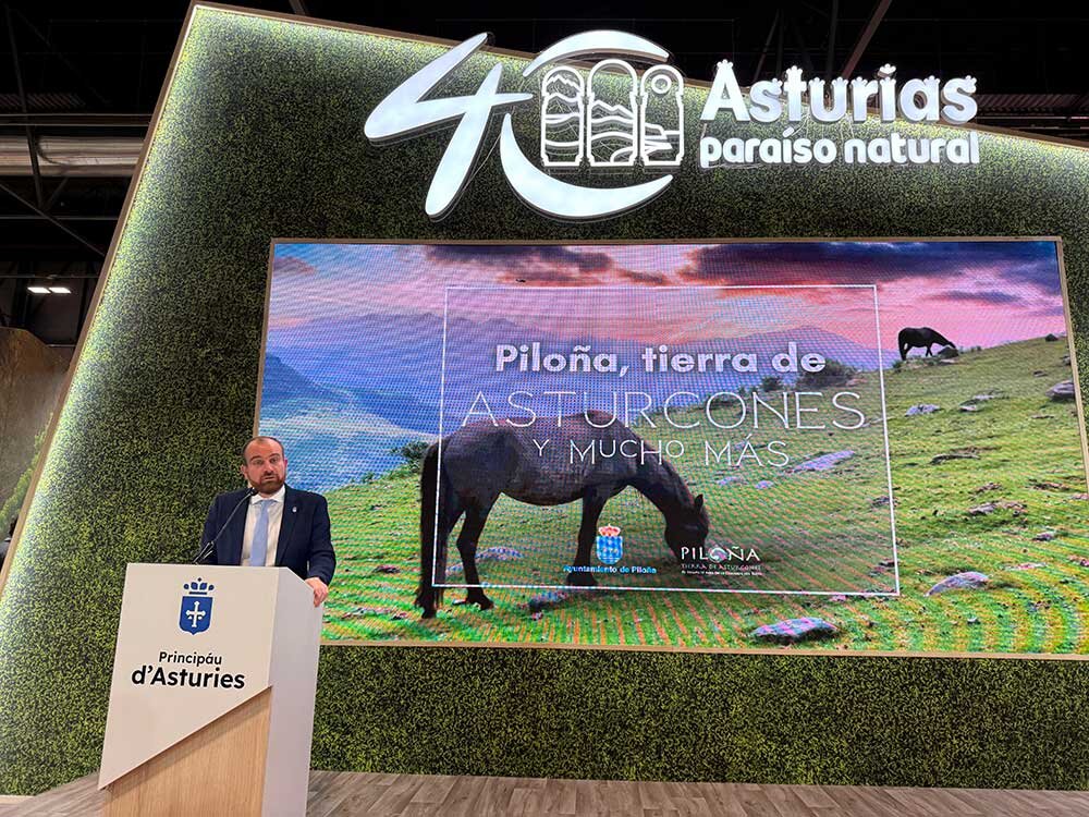 pilona-fitur-2025-02