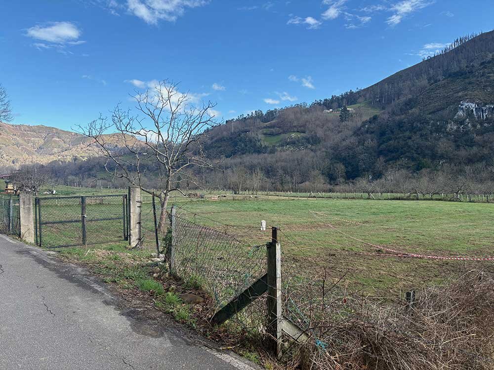 Parcela-elegida-baterias-avalle