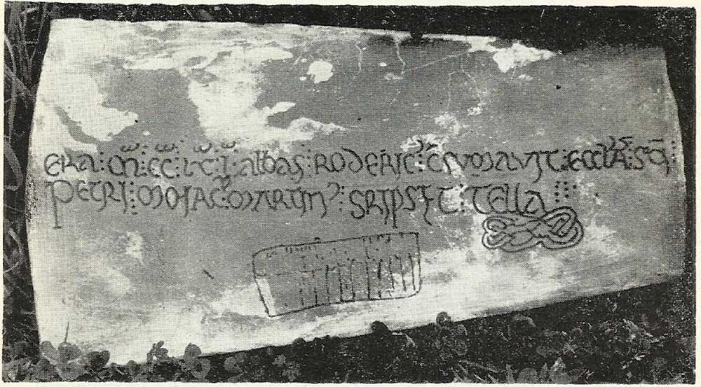 Teja-hallada-en-1223