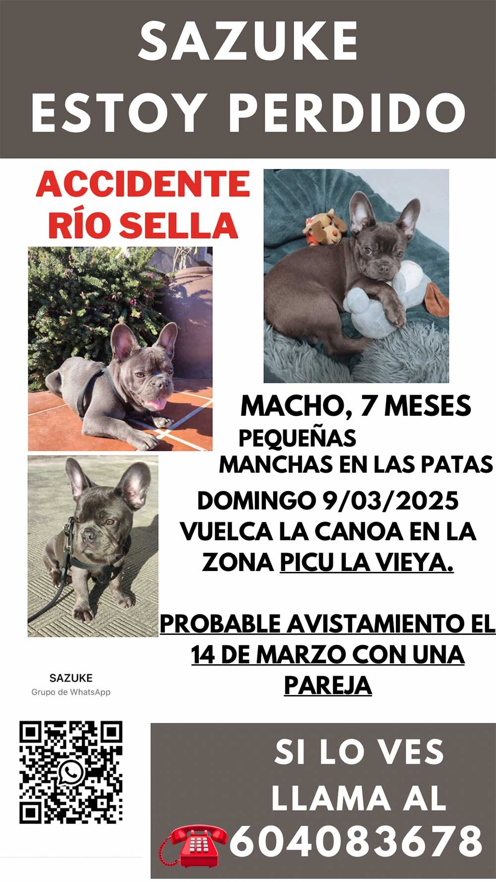 sazuke-perro-extraviado-01