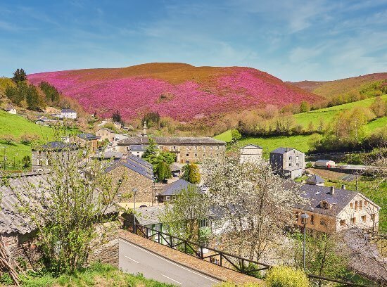 villanueva-oscos-brezo