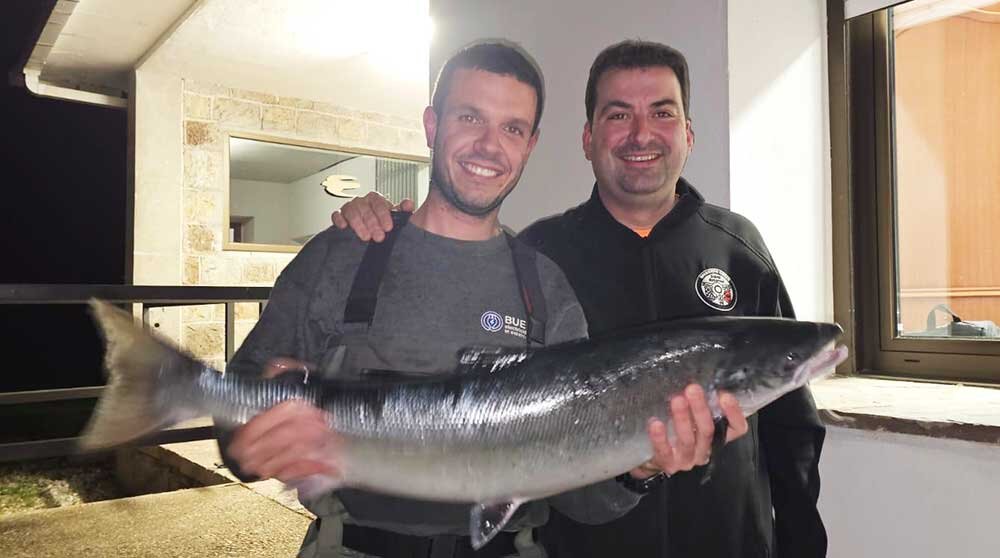 campanu-narcea-2025-02