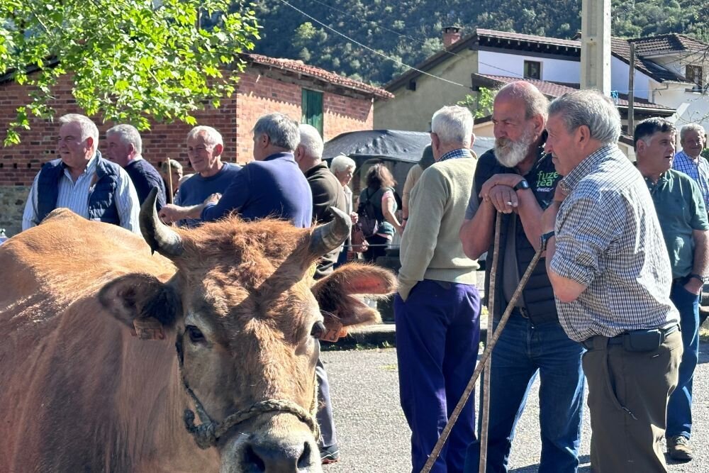 feria-santillan-1-mayo (3)