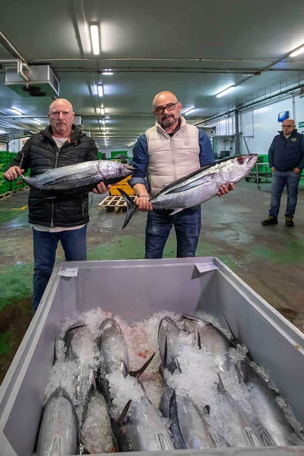 alimerka-bonito-norte-aviles-01