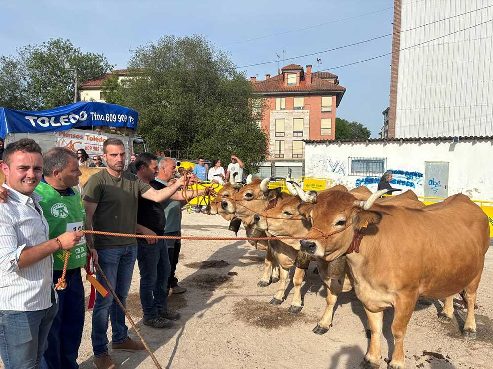 lote-alfredo-armayor-aseamo-nava