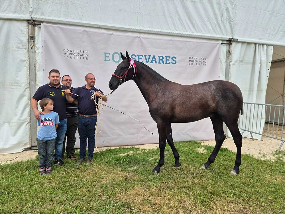 equsevares-2025-03