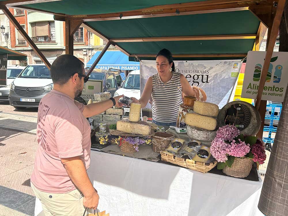 feria-quesos-ribadesella-2025-02