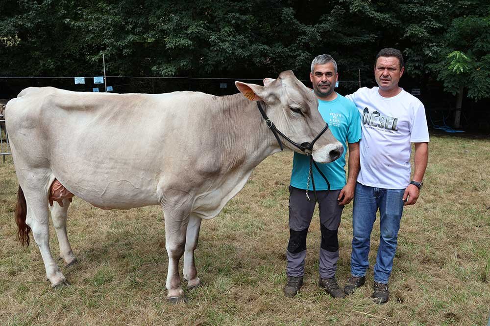concurso-ganados-oriente-arriondas-2025-06