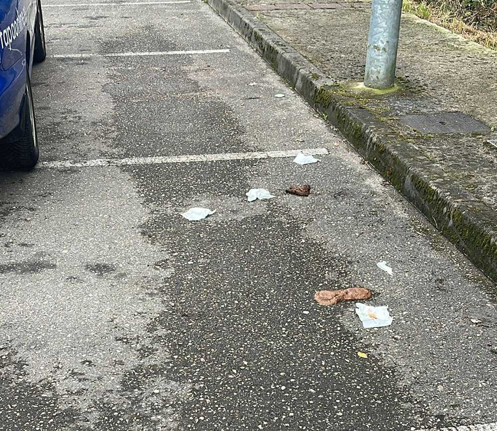 poligono-prestin-abandono-02