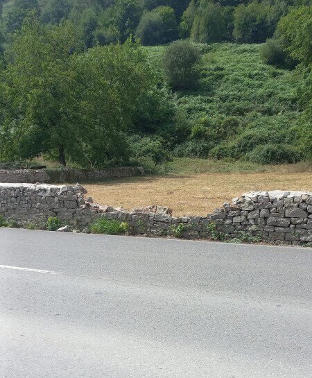 muro-derrumbado-bosque