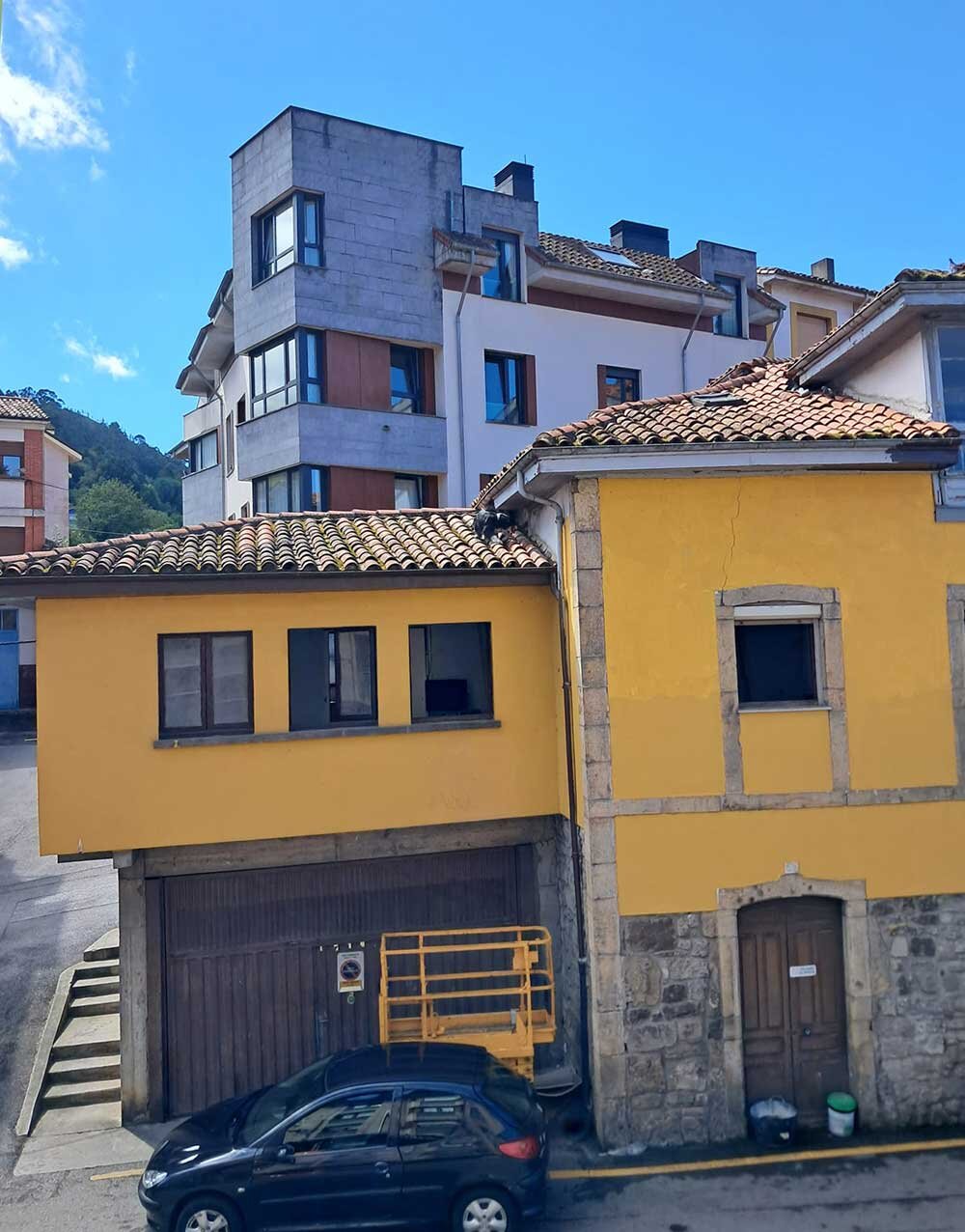 perro-tejado-cangas-onis-02