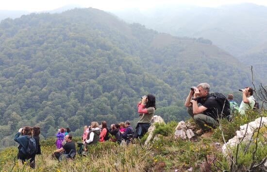 berrea-penamayor-nava