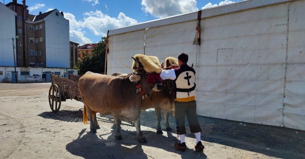 Esperando para procesionar llevando a la Santina, pero no pudo ser por la lluvia.