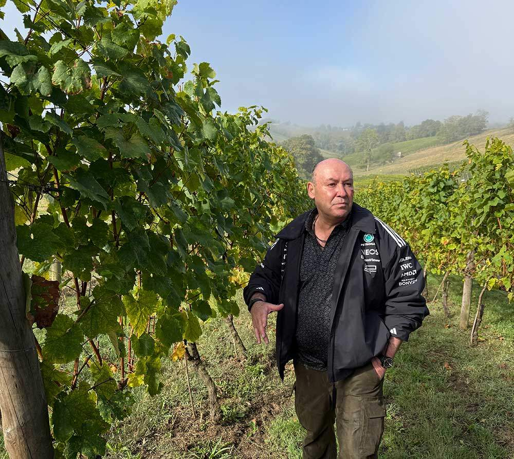 vendimia-nevares-parres-01