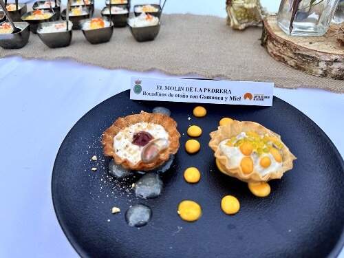 pincho-molin-pedrera