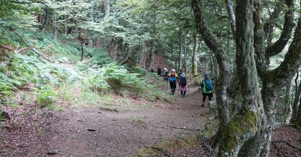 Otra salida del grupo de montaña Llamaello. Foto de Bea.