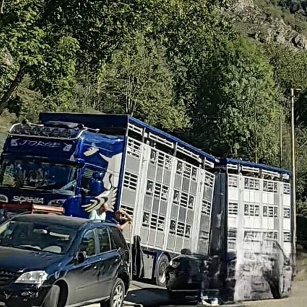 tuberculosis-cabrales-tielve