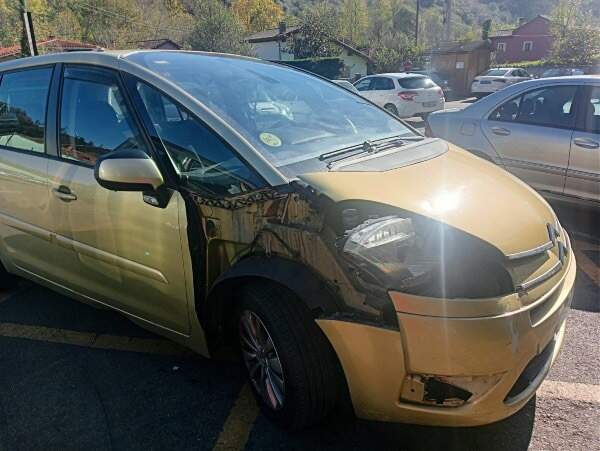 accidentes-jabalies-parres-pilona