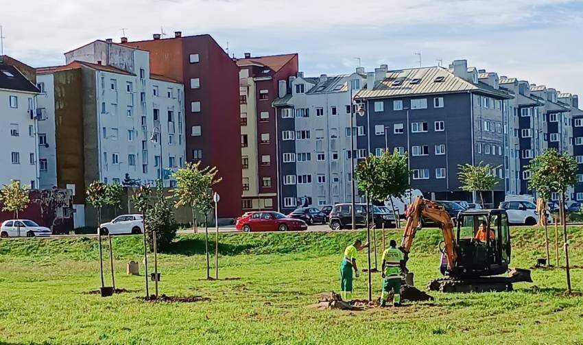 Trabajos en el solar de la empresa promotora Cadenas.