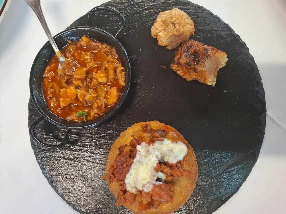 gochin-asturcelta-ponga-2025-01