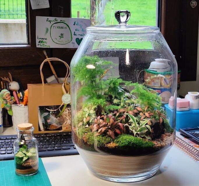 Terrarios de Lorena, Sariegu.