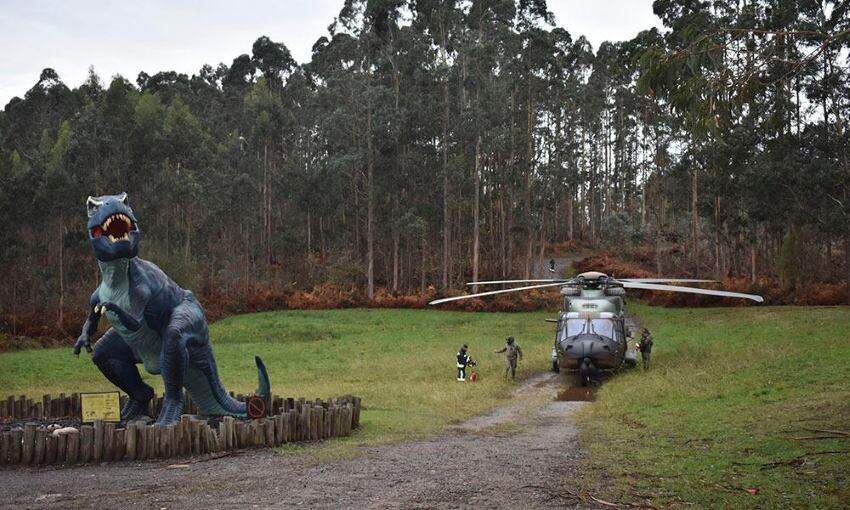 Complicadas tareas de extracción y traída de los fósiles recuperados.