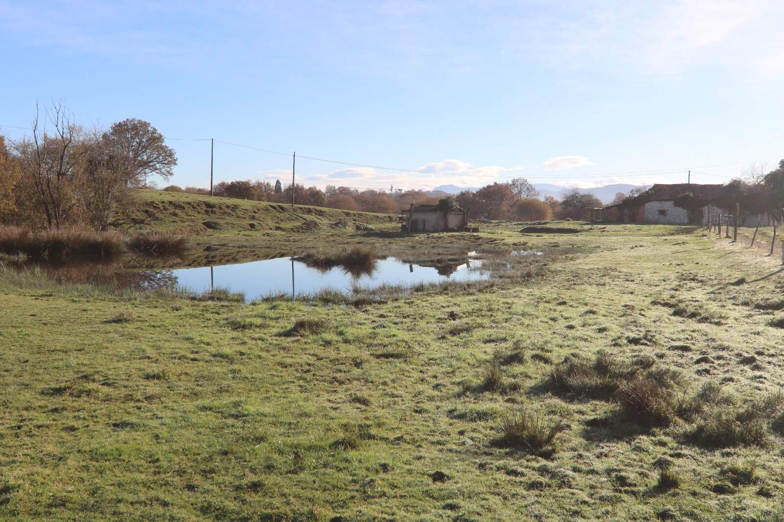 Alguno de los terrenos que hay tras Parque Principado, en Paredes