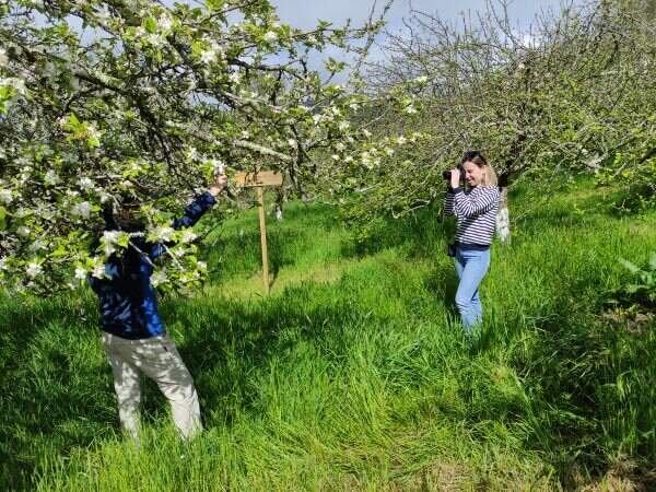floracion-manzano-folixa-sidra